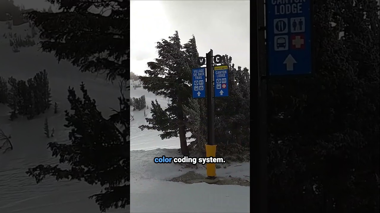 Why Getting Around Mammoth Is No Longer a Total Nightmare