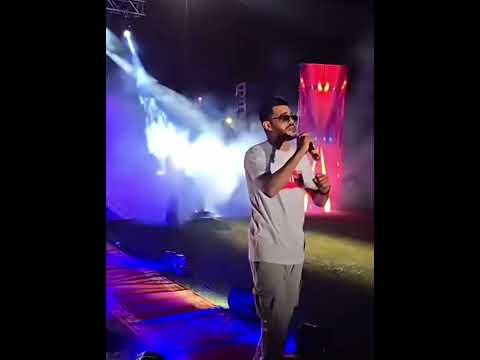 الفنان أيمن الدرسي