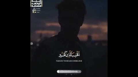 قران كريم بصوت عبدالرحمن مسعد حالات واتس اب دينيه