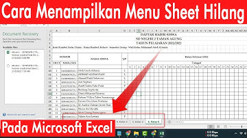 cara menampilkan sheet yang hilang di excel