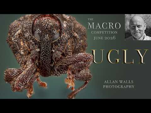 June 2026 Macro Competition Results