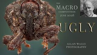 June 2026 Macro Competition Results