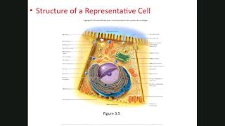 Chapter 3 Part1a: Cellular Physiology