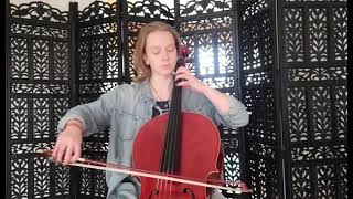 Leipzig Cello + Larsen Medium Strings