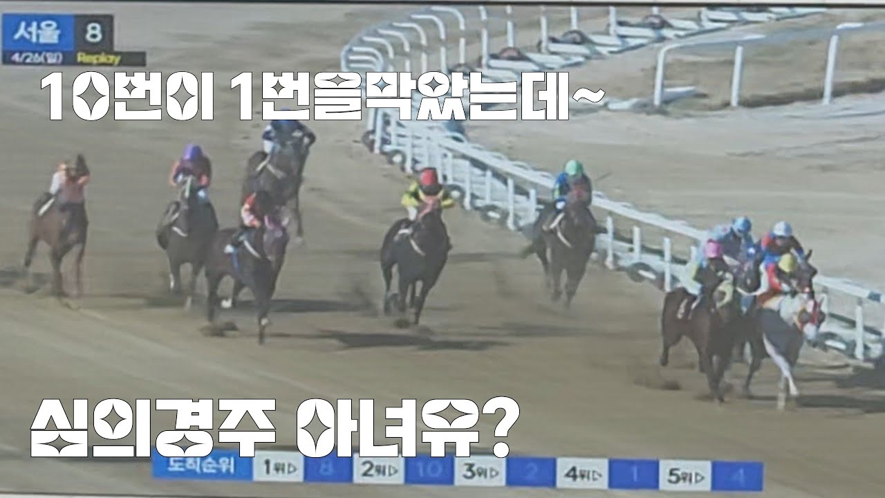 경마팬이 보는 심의경주(강착사유 해당된다보는데~)기수는 기승정지?
