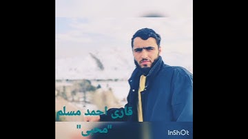 قاری احمد مسلم "محبی"           تلاوت مقطع از سوره یوسف