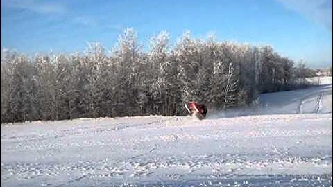 2004 Polaris Pro XR 440 600 wheelie