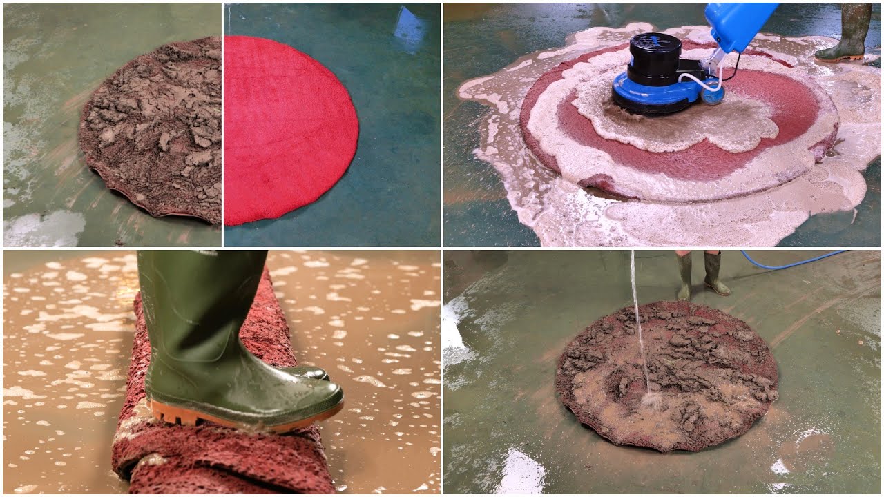 Extreme Carpet Cleaning ASMR Filth to Freshness 🧼 YouTube