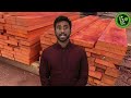 Padauk Wood Types, Properties & Uses | AtoZ Wood Company
