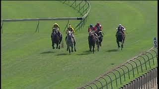 20181230 Greyville express clip Race 3 won by DESOLATE ROAD