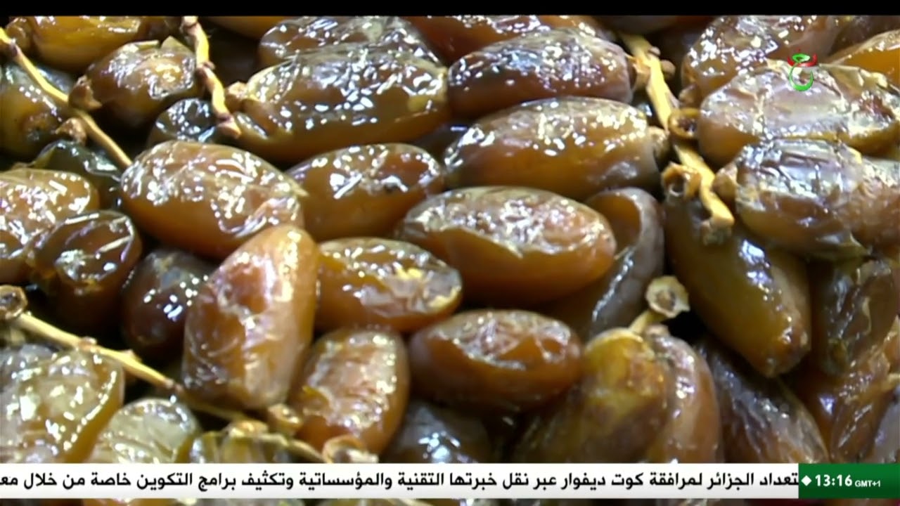 بشار- رمضان| وفرة التمور تحقق التوازن بين العرض والطلب