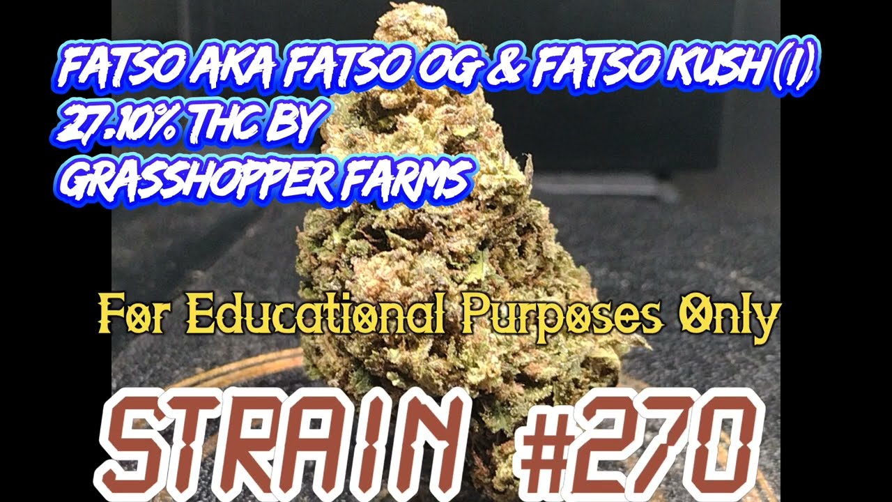 Fatso AKA Fatso OG AKA Lengendary Fatso (I) Strain Review Budpedia ( Different Company)