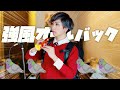 「強風オールバック」歌ってみた / うみくん