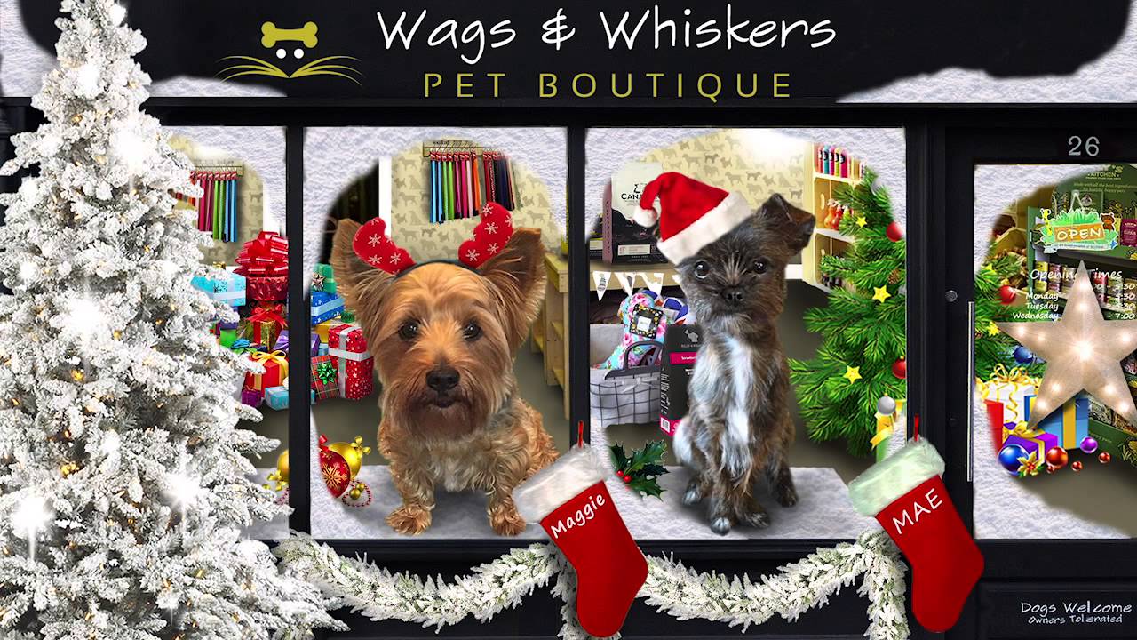 Wags Whiskers Pet Boutique Christmas Movie Youtube