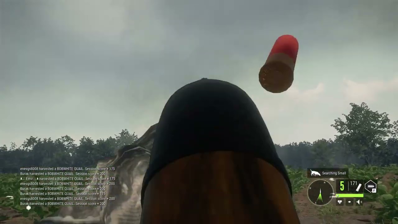 The Hunter Cal Of The Wild Köpeklerle Bıldırın Avı