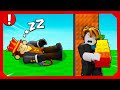 Roblox - Dont Wake the Gardener