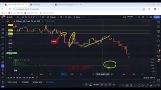 Beginners Guide To Forex Trading 2024