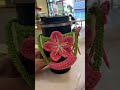 Crochet cup sleeve #cupholder #crochet #cupsleeve