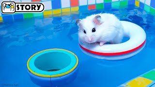 The Awesome Hamster Pool Maze 🐹 Homura Ham Pets