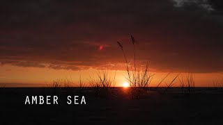 Amber Sea - summer sunset at the Baltic sea - nature meditation