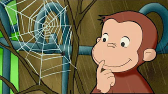 La increíble telaraña de Jorge | Jorge El Curioso En Español