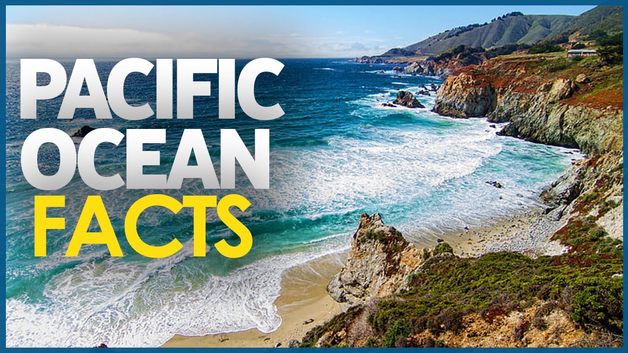 PACIFIC OCEAN FACTS | MOST MYSTERIOUS OCEAN FACTS | FACTS ABOUT THE ...