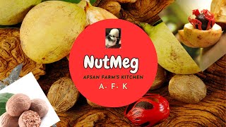 Unlock the secrets of Nutmeg: Elevate your recipes today!