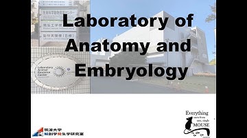 Laboratory of Anatomy and Embryology, University of Tsukuba (TAKAHASHI LAB) Introduction Video