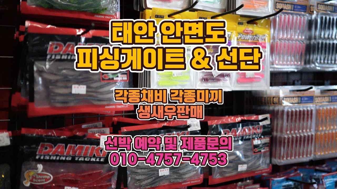 태안 안면도 피싱게이트 몰 & 선단