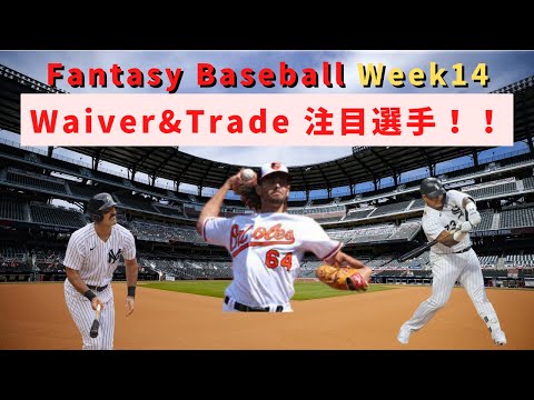 【Fantasy Baseball Week14】獲得狙いたいWaiver&Trade 注目選手(Yermin MercedesMatt Carpenter)#MLB #ファンタジーベースボール | Mr. White の日常＠U.S.A