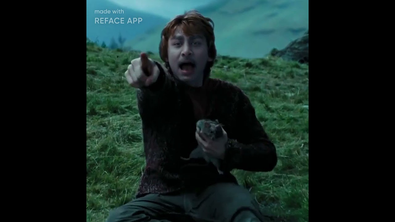 Harry potter - Reface