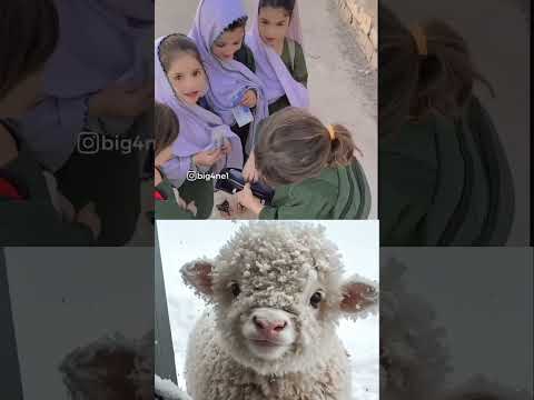 به جای اولاد زیاد اولاد کمتر به دنیا بیاورید و آن ها را درست تربیت کنید در این کار هم خدا راضی است 