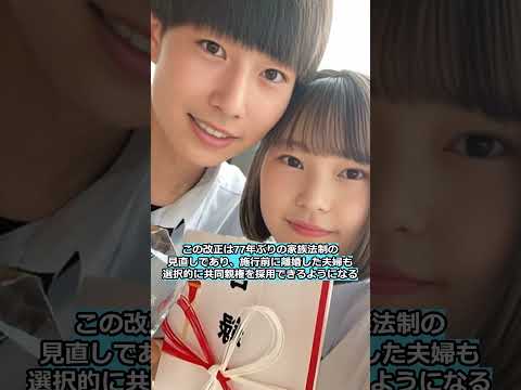 ☝️【👶子の幸せ】離婚後「共同親権」可能に