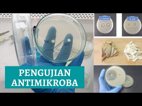 Video: Bagaimana cara kerja pengujian vitro?