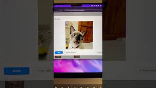 Download Lagu Make your kitty singing “APT” #productivity #aitools #ai #dupdub MP3 Download Lagu Make your kitty singing “APT” #productivity #aitools #ai #dupdub MP3