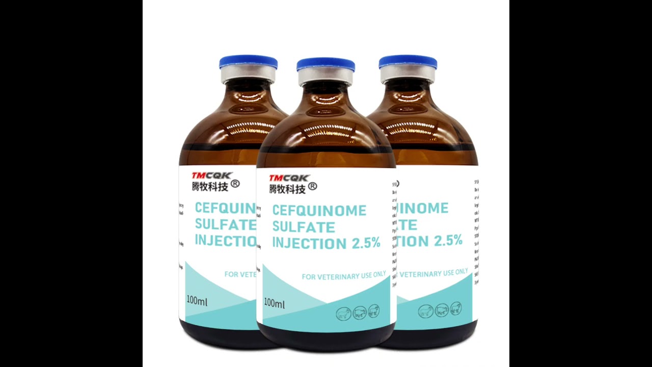 High Quality Supplier of Veterinary Medicine Cefquinome Sulfate Injection at a Preferential Price