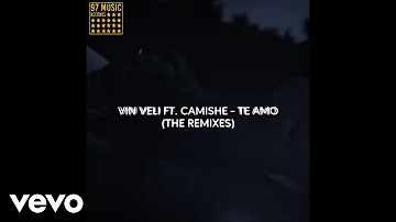 Vin Veli - Te Amo (Robert Cristian Remix) ft. Camishe