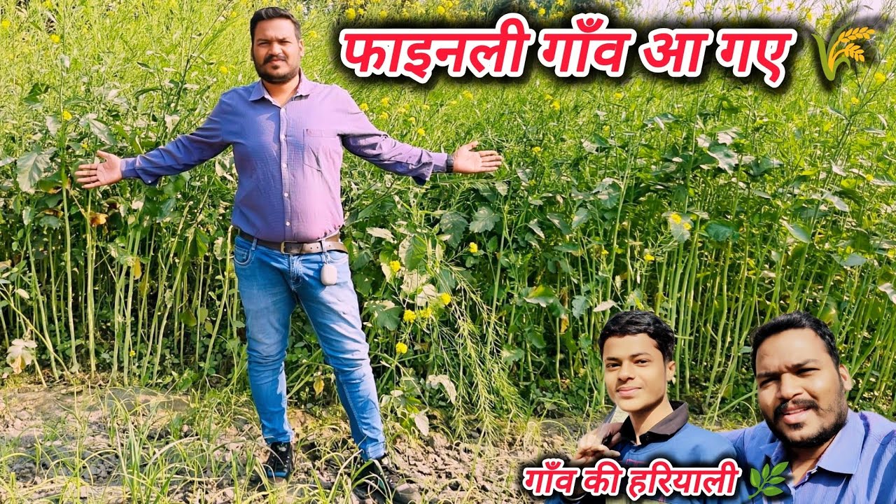 Finally Gaon Aa Gaye 🌾 | Kheton Ka Khoobsurat Nazara | Village Life Vlog 