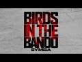 Symba Birds In The Bando Official Audio Video Symba Birds In The Bando Official Audio Video