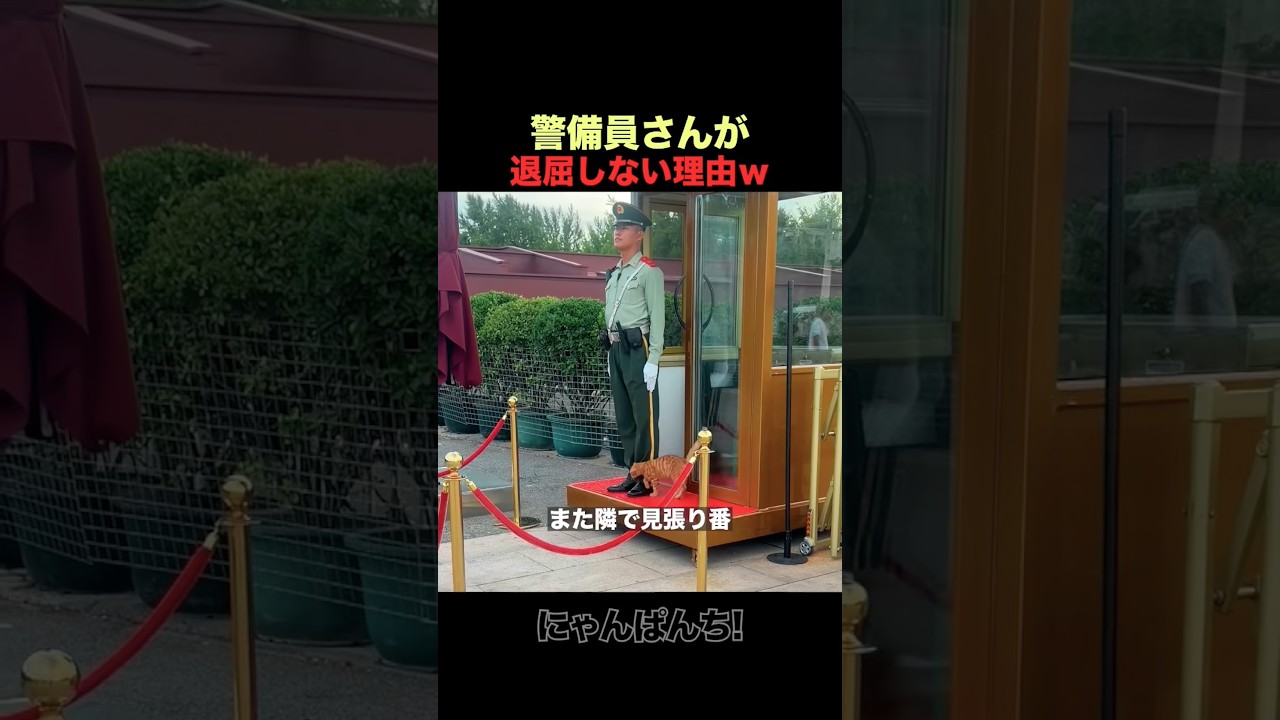 警備員さんが退屈しない理由は猫でしたｗ