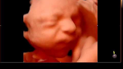 3 5 14 INCL FILMPJE 0007