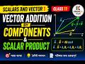 [scalars and vector 1] | Vector Addition by Components &amp; Scalar Product| Class 11 | KnowZA BENGALI