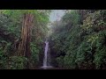 Waterfall Flowing in a Mountain Forest 24/7. Waterfall Sounds, Flowing Water. White Noise for Sleep.