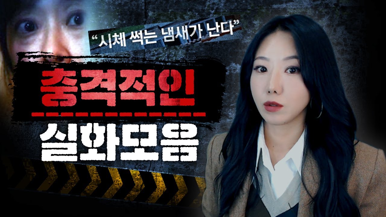 이게..실화라고? 믿기힘든 레전드 충격실화 90분 모음 | 토요미스테리