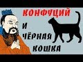 Конфуций и чёрная Кошка в тёмной комнате