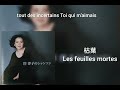 岸洋子 枯葉