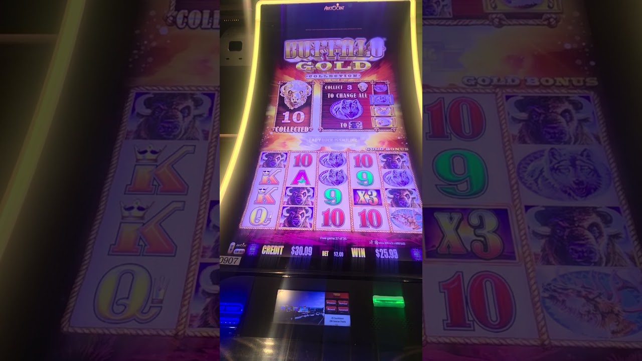 BUFFALO GOLD COLLECTION BONUS HIT | Bdgame21slots