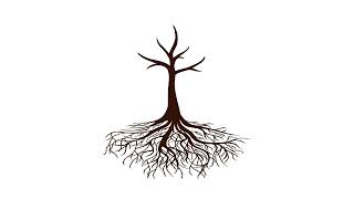 vecteezy 4k tree growing animation animated tree growth on white 16247466