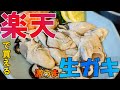 楽天で買える生牡蠣「サムライオイスター」をひとりで食いまくった