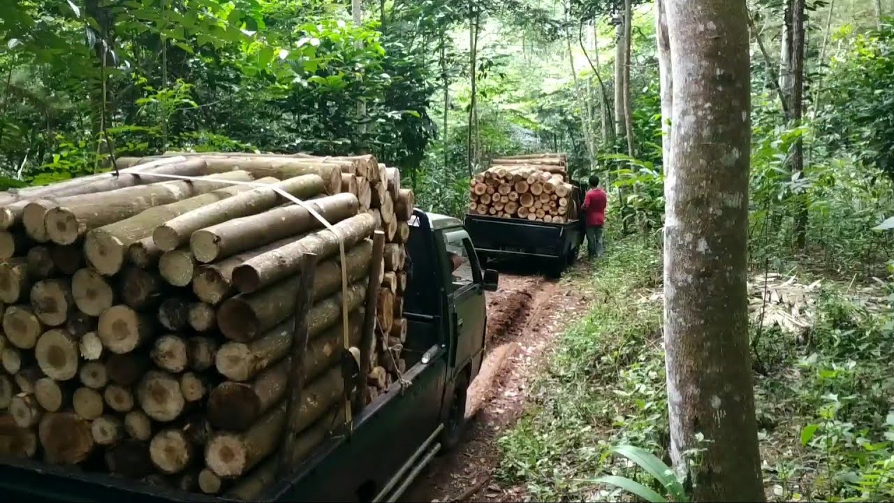 JALAN LICIN TETAP MUAT L300 GUNUNG
